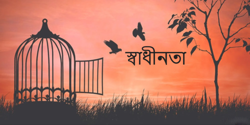 স্বাধীনতা কই? -শান্ত বিন আব্দুর রাযযাক